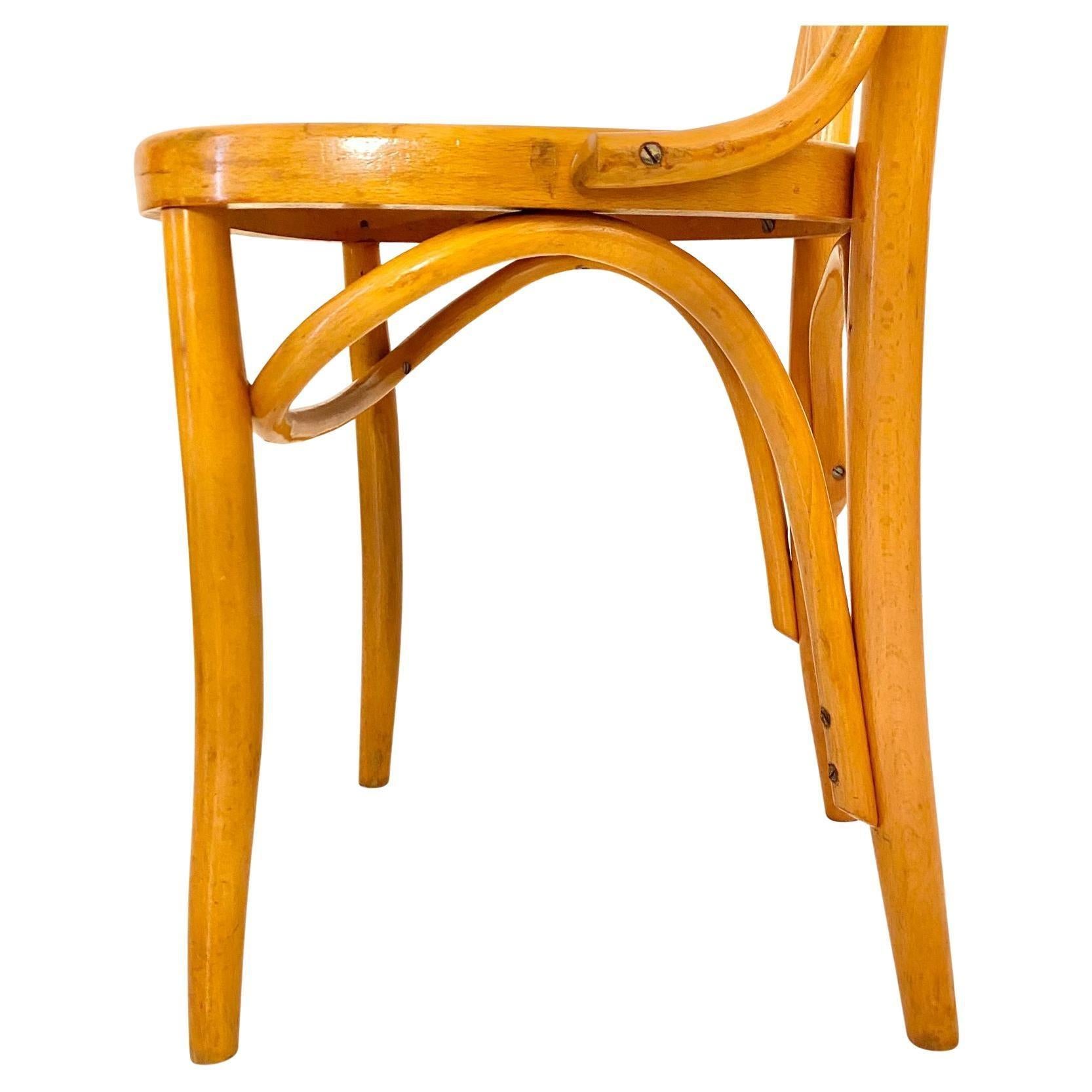 Mid Century Modern Dining Room Zebra Wood Chairs, set of  six, Italy 1950s For Sale 7