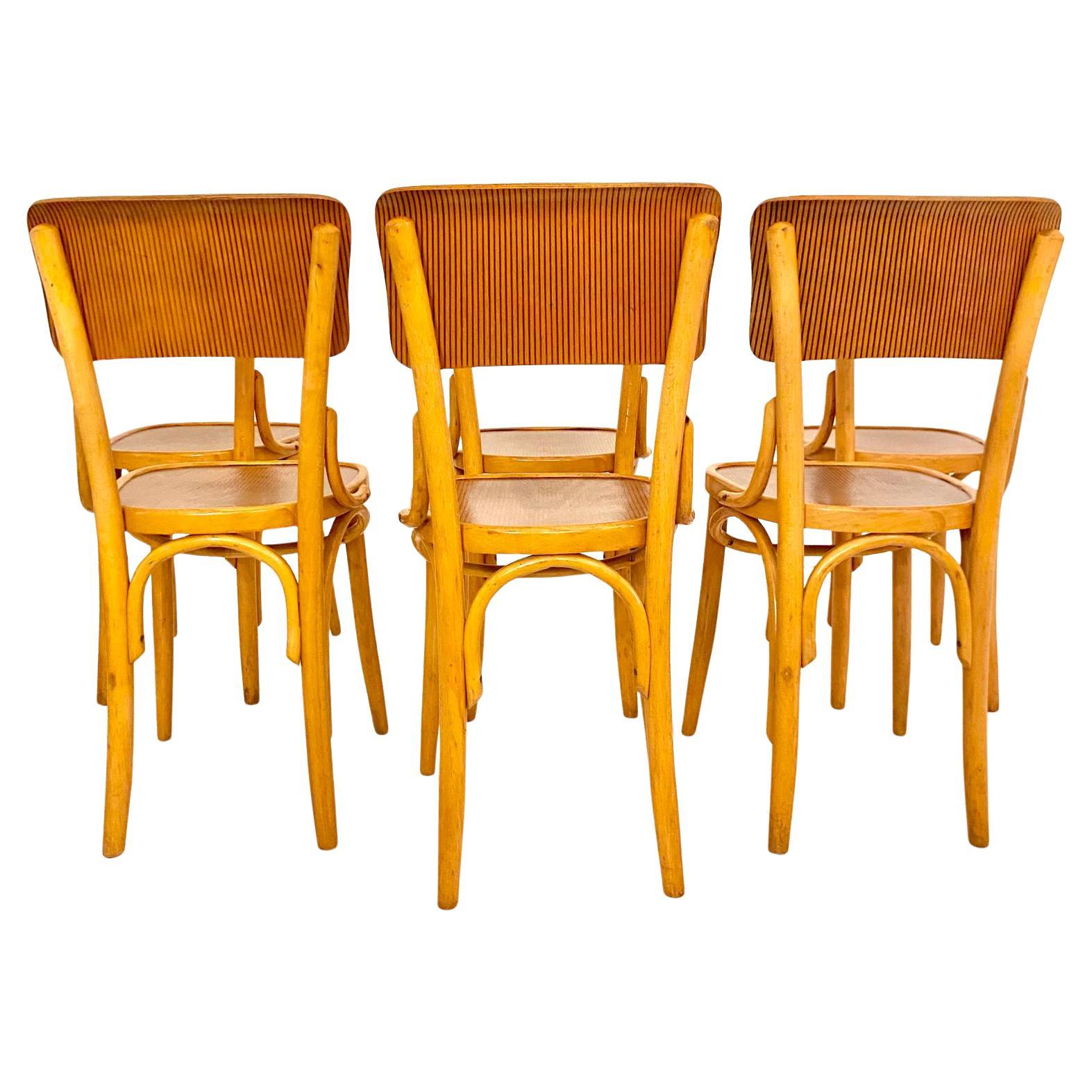 Mid Century Modern Dining Room Zebra Wood Chairs, set of  six, Italy 1950s For Sale 10