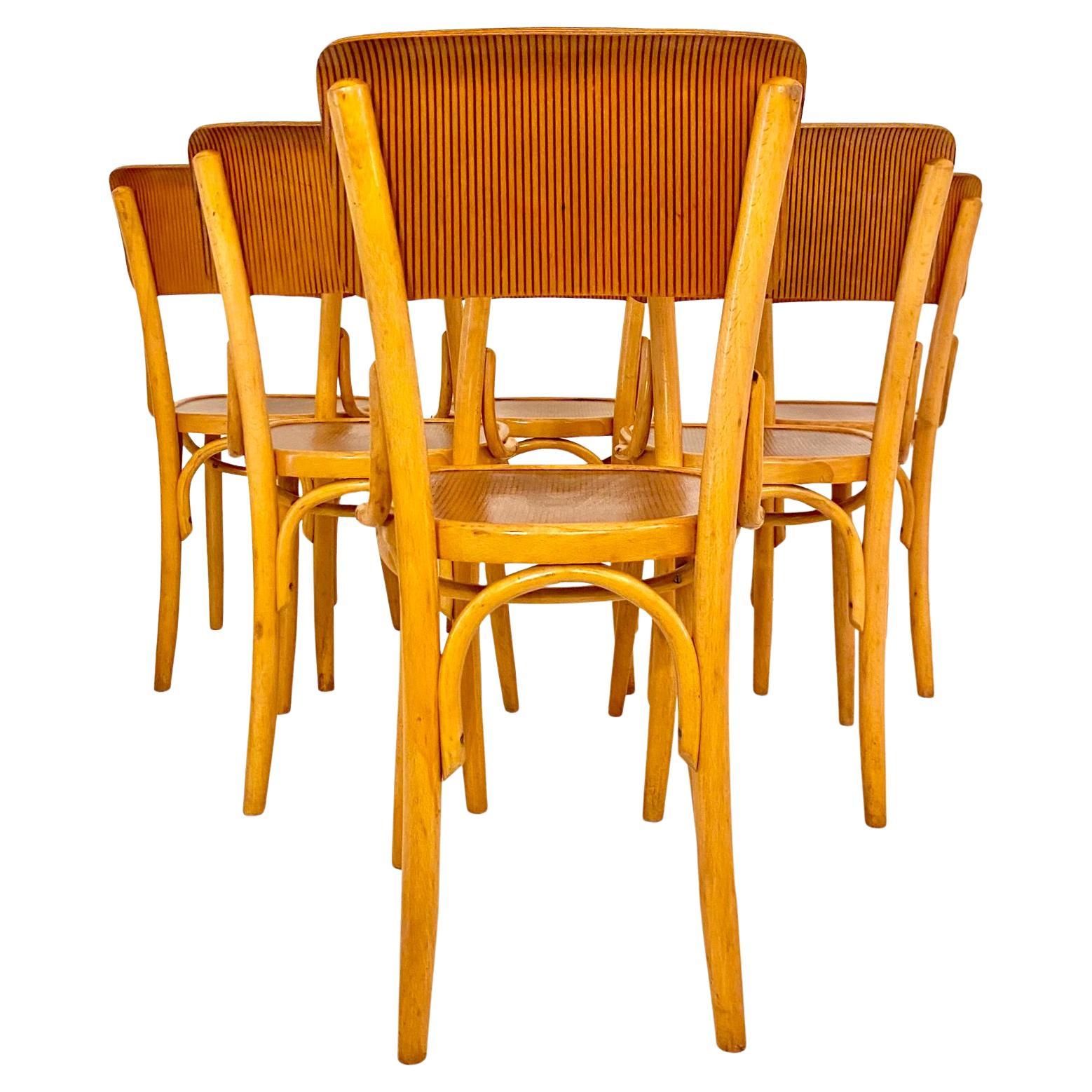 Mid-Century Modern Mid Century Modern Dining Room Zebra Wood Chairs, set of  six, Italy 1950s For Sale