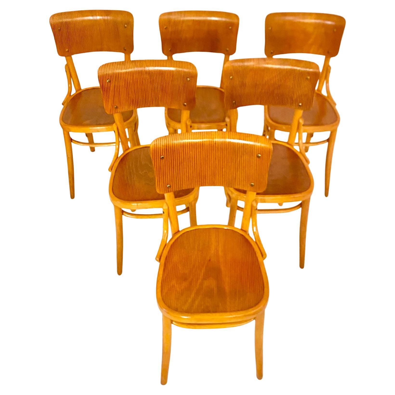 Italian Mid Century Modern Dining Room Zebra Wood Chairs, set of  six, Italy 1950s For Sale