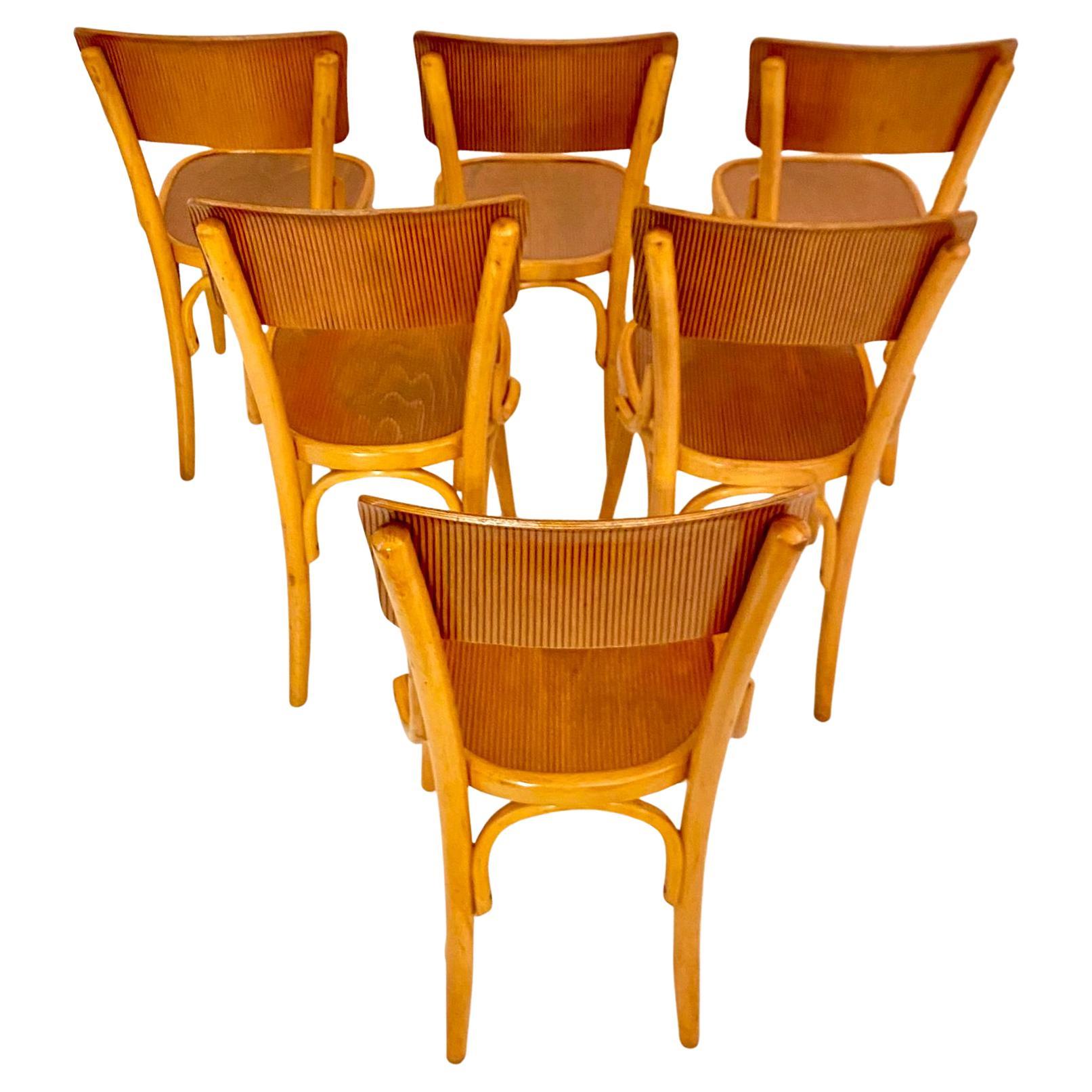 Mid Century Modern Dining Room Zebra Wood Chairs, set of  six, Italy 1950s In Good Condition For Sale In Ceglie Messapica, IT