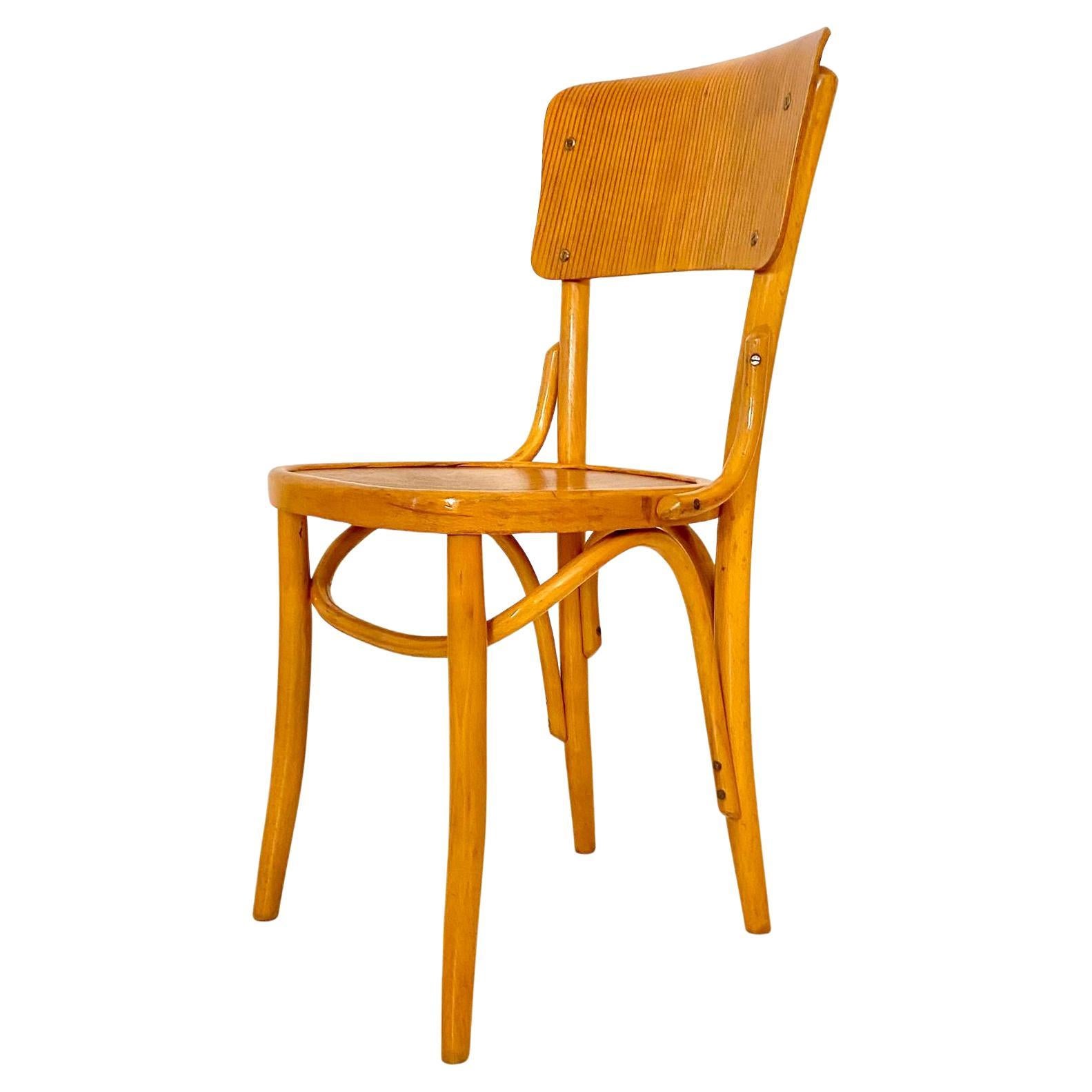 17th Century Mid Century Modern Dining Room Zebra Wood Chairs, set of  six, Italy 1950s For Sale