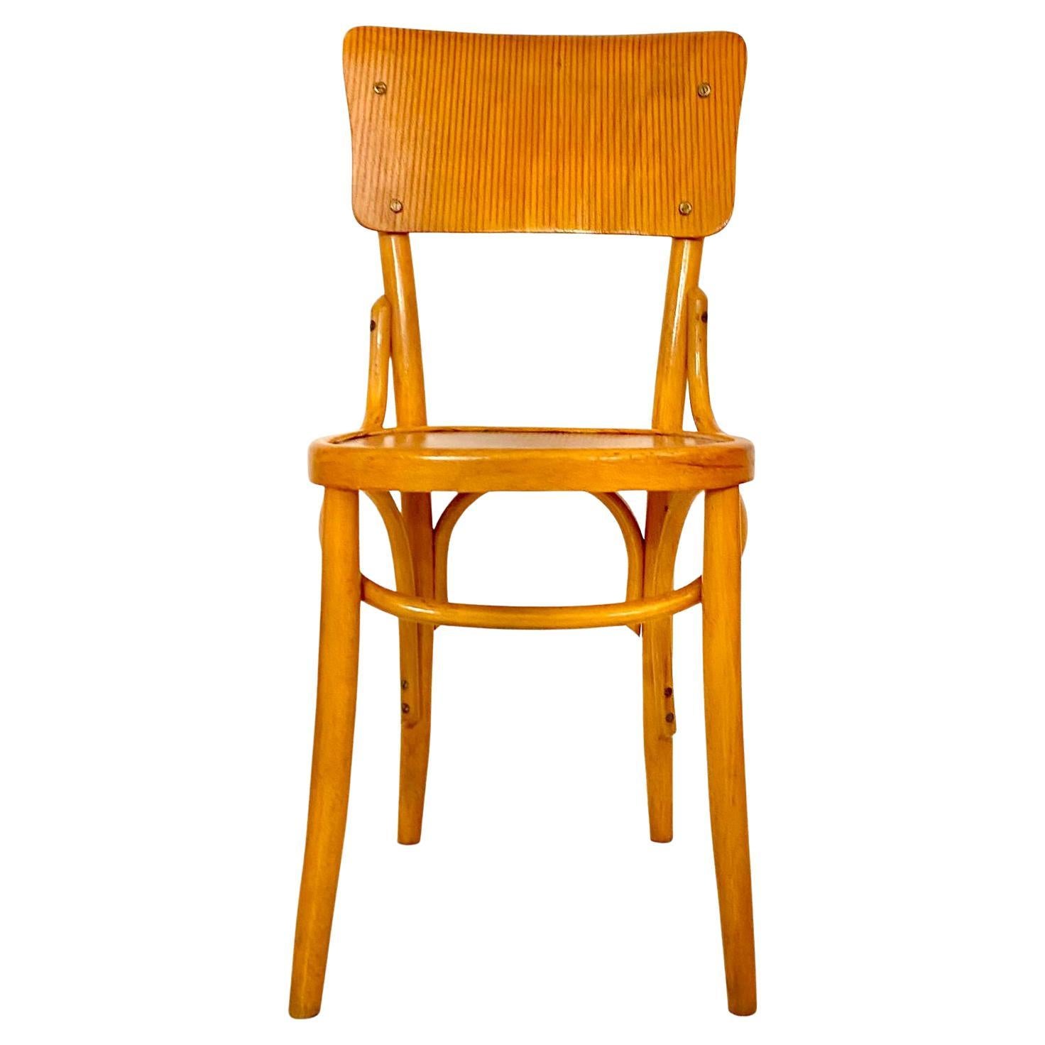 Beech Mid Century Modern Dining Room Zebra Wood Chairs, set of  six, Italy 1950s For Sale