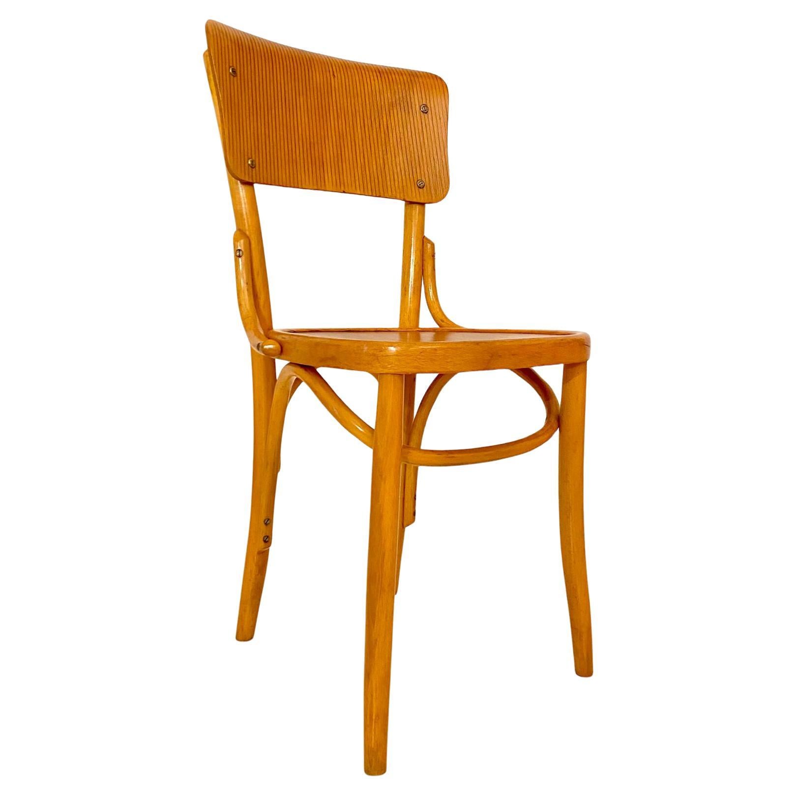 Mid Century Modern Dining Room Zebra Wood Chairs, set of  six, Italy 1950s For Sale 1
