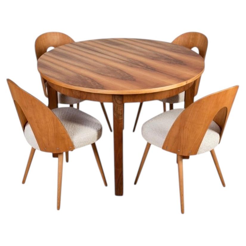 Mid Century Modern Dining Set in Walnut, Round Table and 4 A. Šuman Chairs, 1960