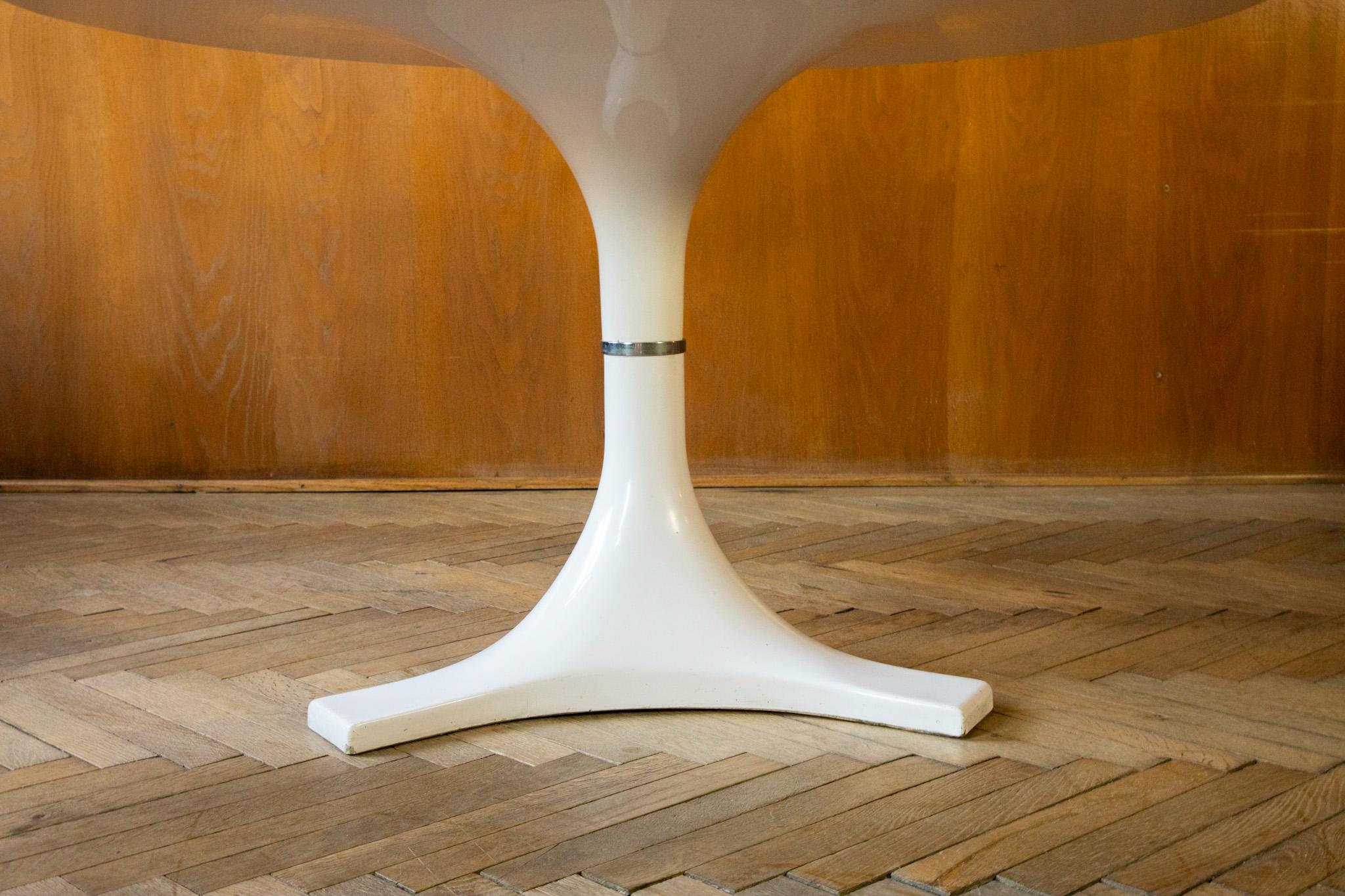 Metal Mid-Century Modern Dining Table by Anna Castelli, I. Gardella, Italy 1960s