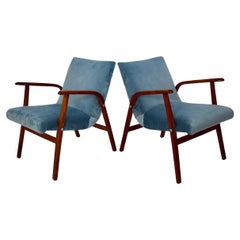 Poltrone Duo del Mid Century Modern Beeche Velluto Blu Pastello Roland Rainer 1950s
