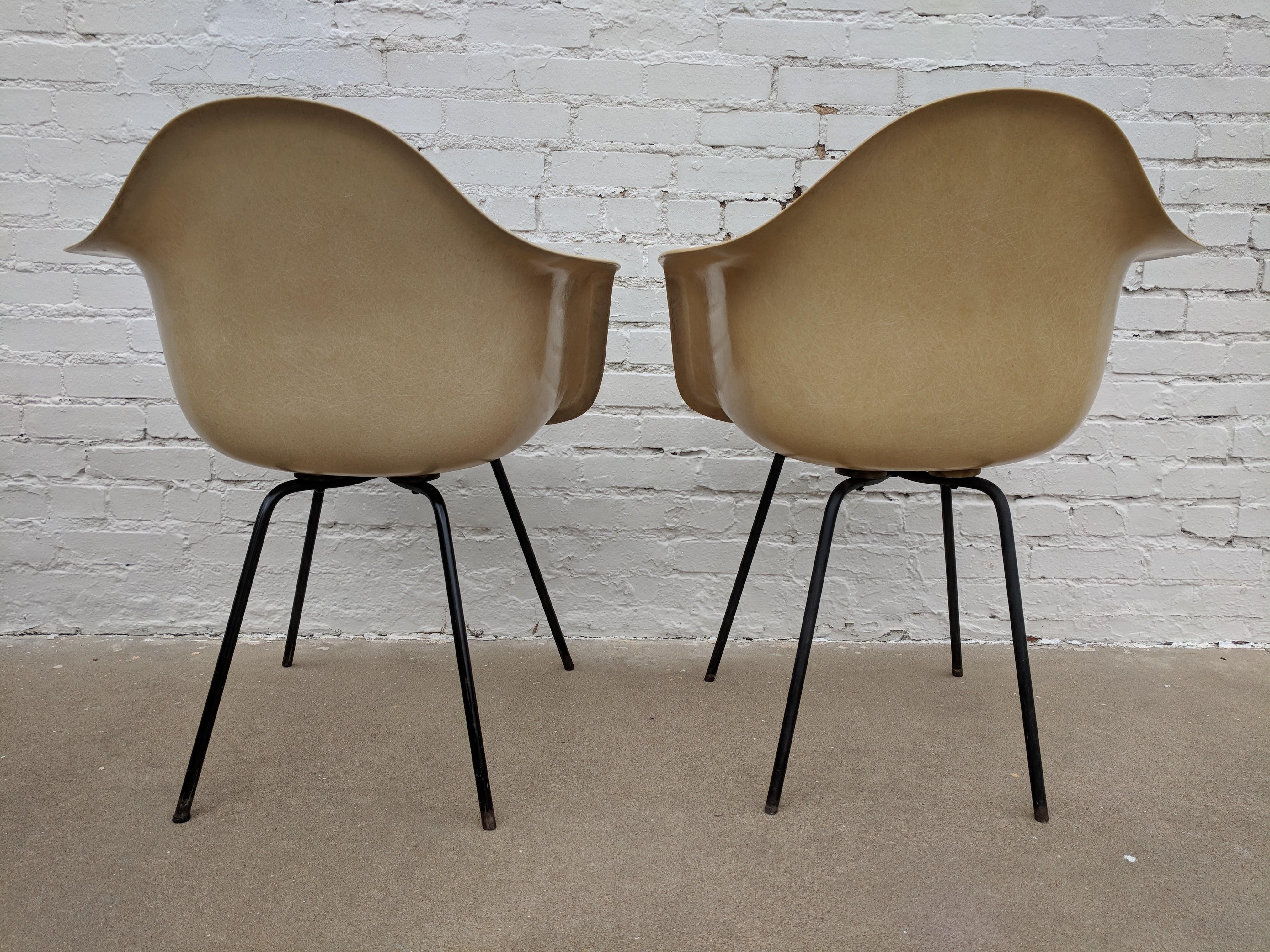 Früher Eames DAX-Stuhl mit Muschelarmlehne, Mid-Century Modern im Angebot 3