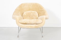Mid-Century Modern Eero Saarinen for Knoll Womb Chair Reupholstered in Shearling