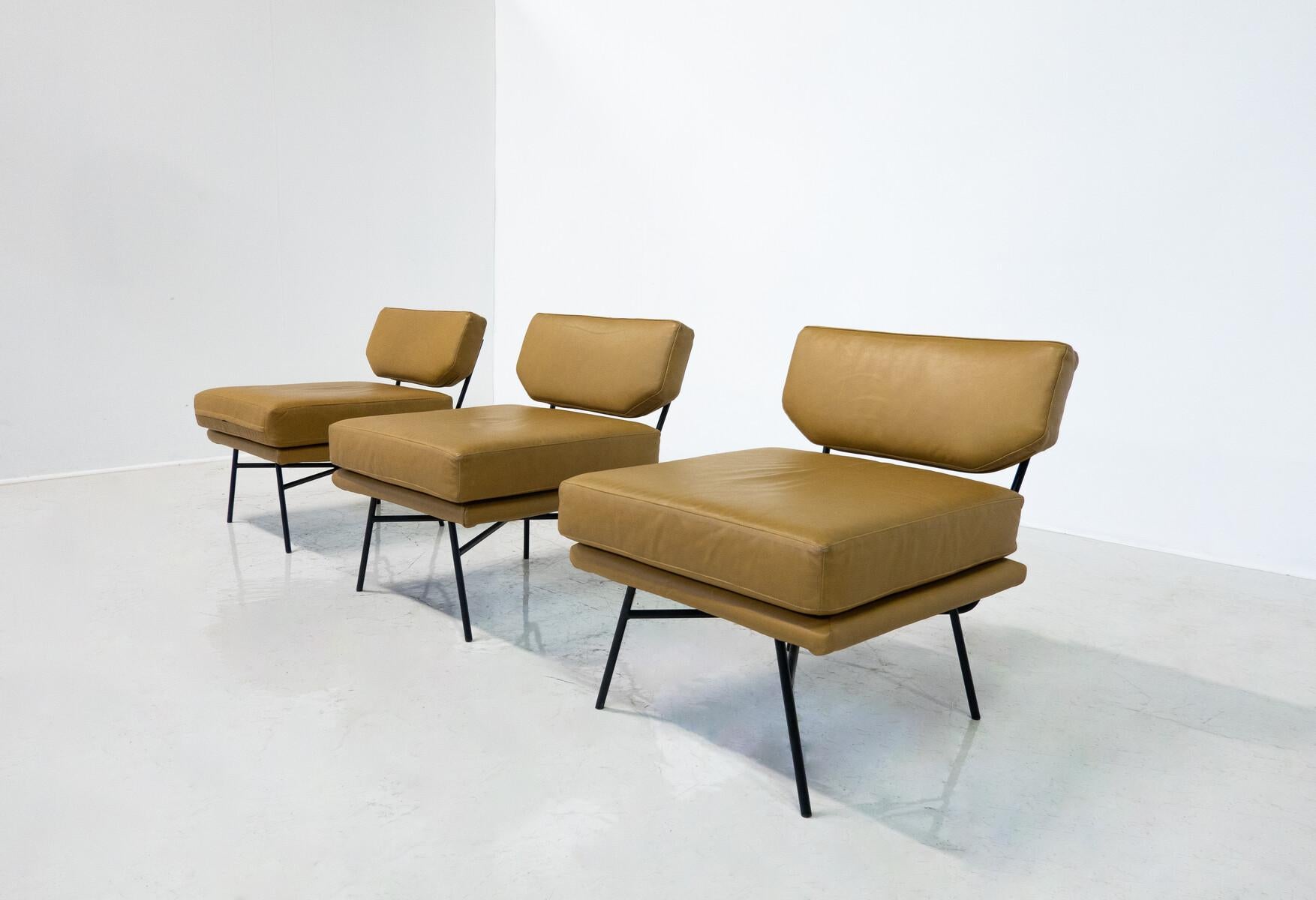 Mid-20th Century Mid-Century Modern 'Elettra' Armchair by Stdio BBPR for Arflex, Leather and Iron For Sale