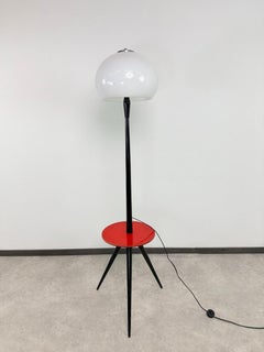 Mid-century modern floor lamp
