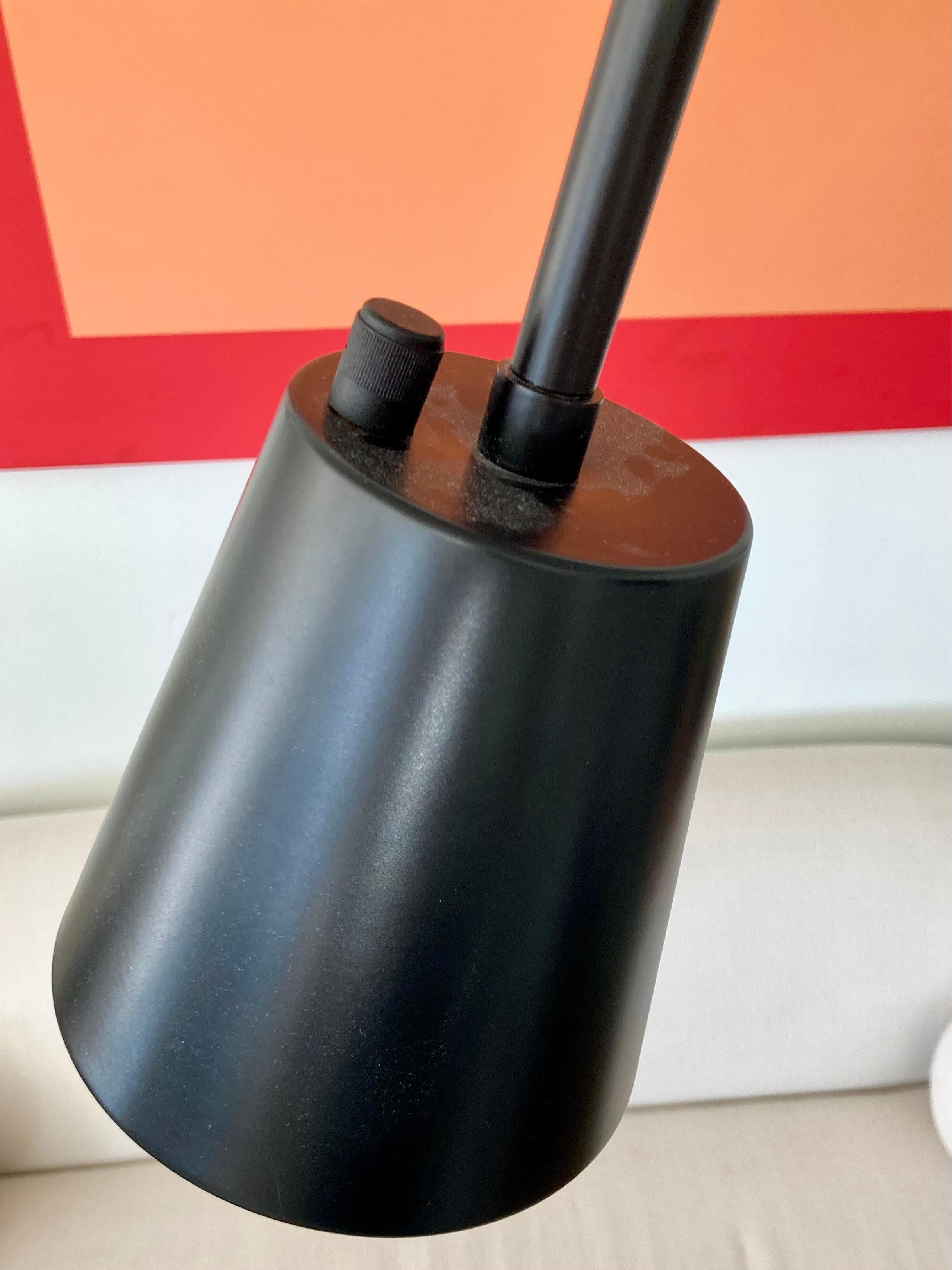 Mid-Century Modern Floor Lamp in the Style of Jacques Adnet 4