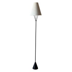 Mid-century Modern Floor Lamp, "Vice Versa", by ASEA, Sweden 1950s
