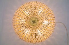 Mid-Century Modern Floral Glass Wall and Ceiling Lamp, 1960s