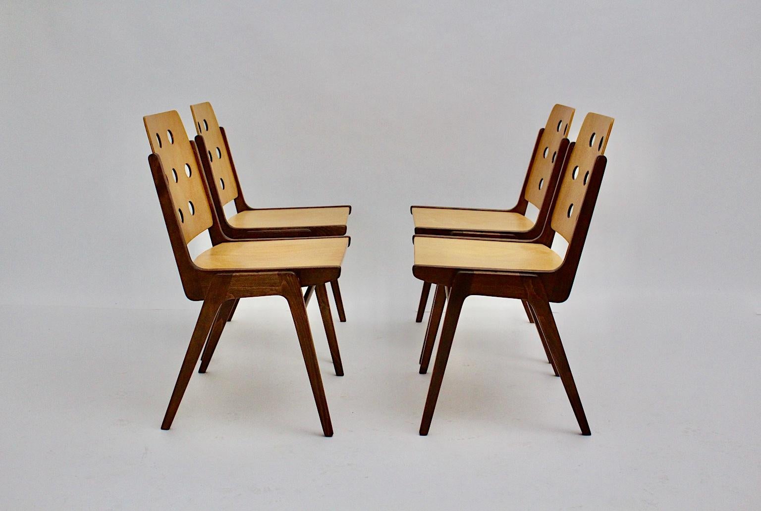 Mid-Century Modern Four Vintage Brown Bicolor Beech Dining Chairs Franz Schuster 5