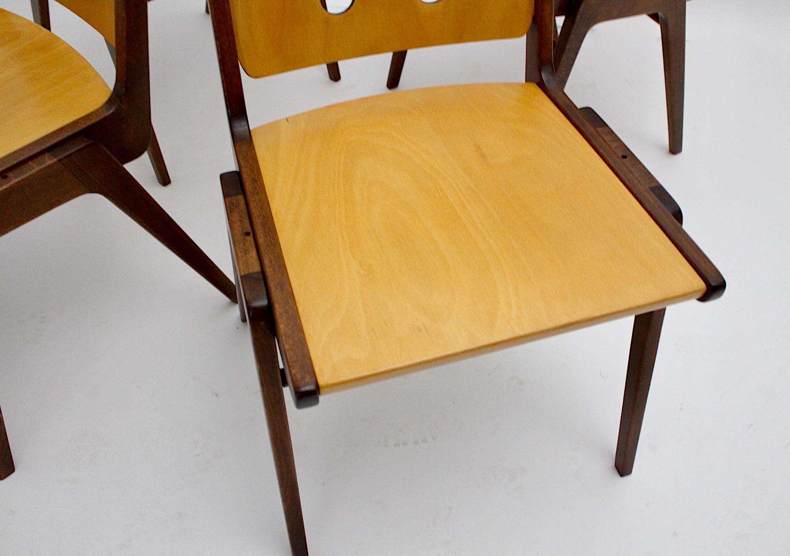 Mid-Century Modern Four Vintage Brown Bicolor Beech Dining Chairs Franz Schuster 9