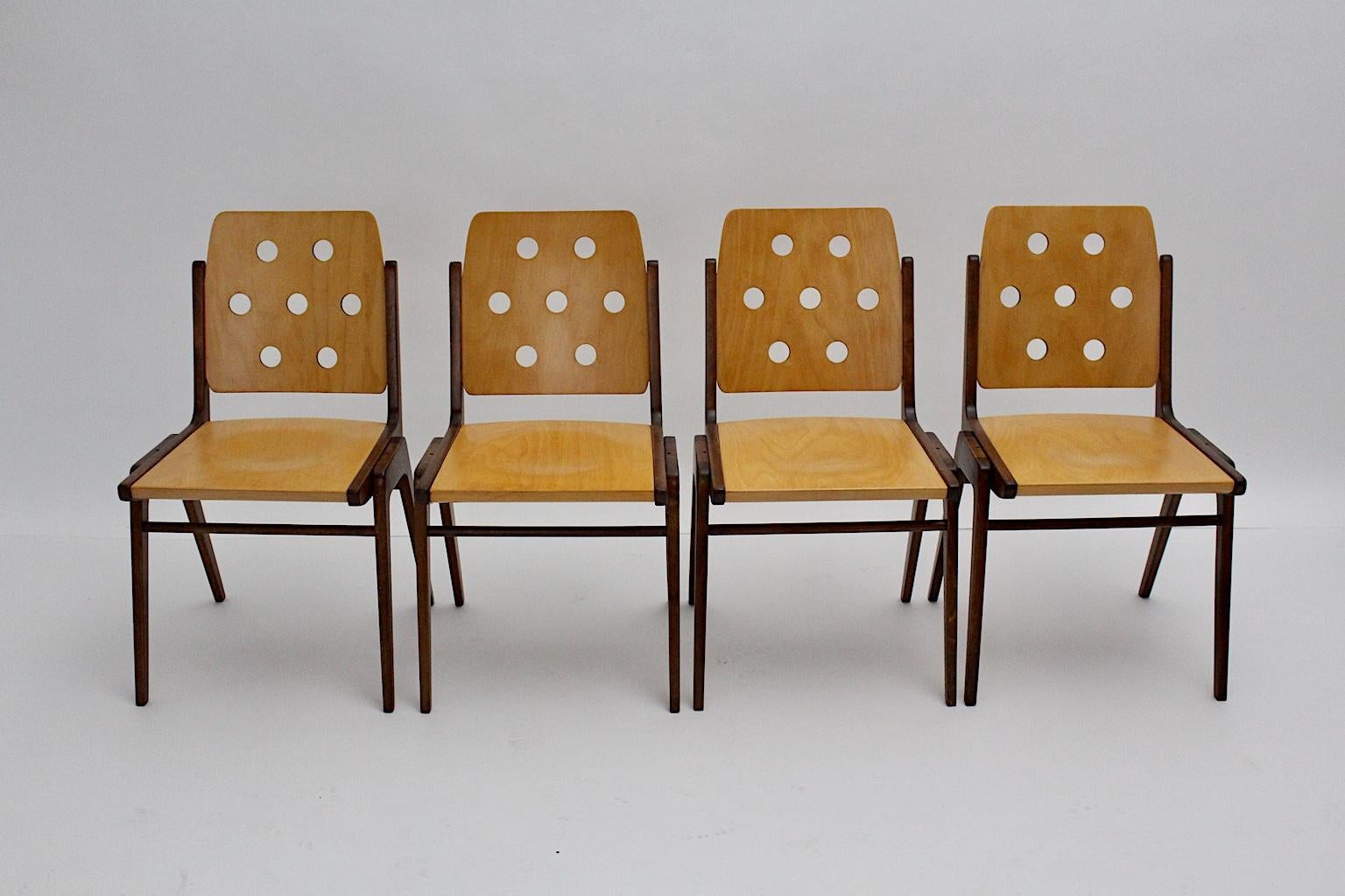 Mid-20th Century Mid-Century Modern Four Vintage Brown Bicolor Beech Dining Chairs Franz Schuster