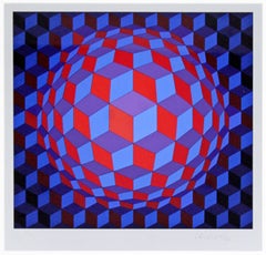 Mid-Century Modern Framed Op Art Serigraph Signed by Vasarely Cheyt Rond, 1970s