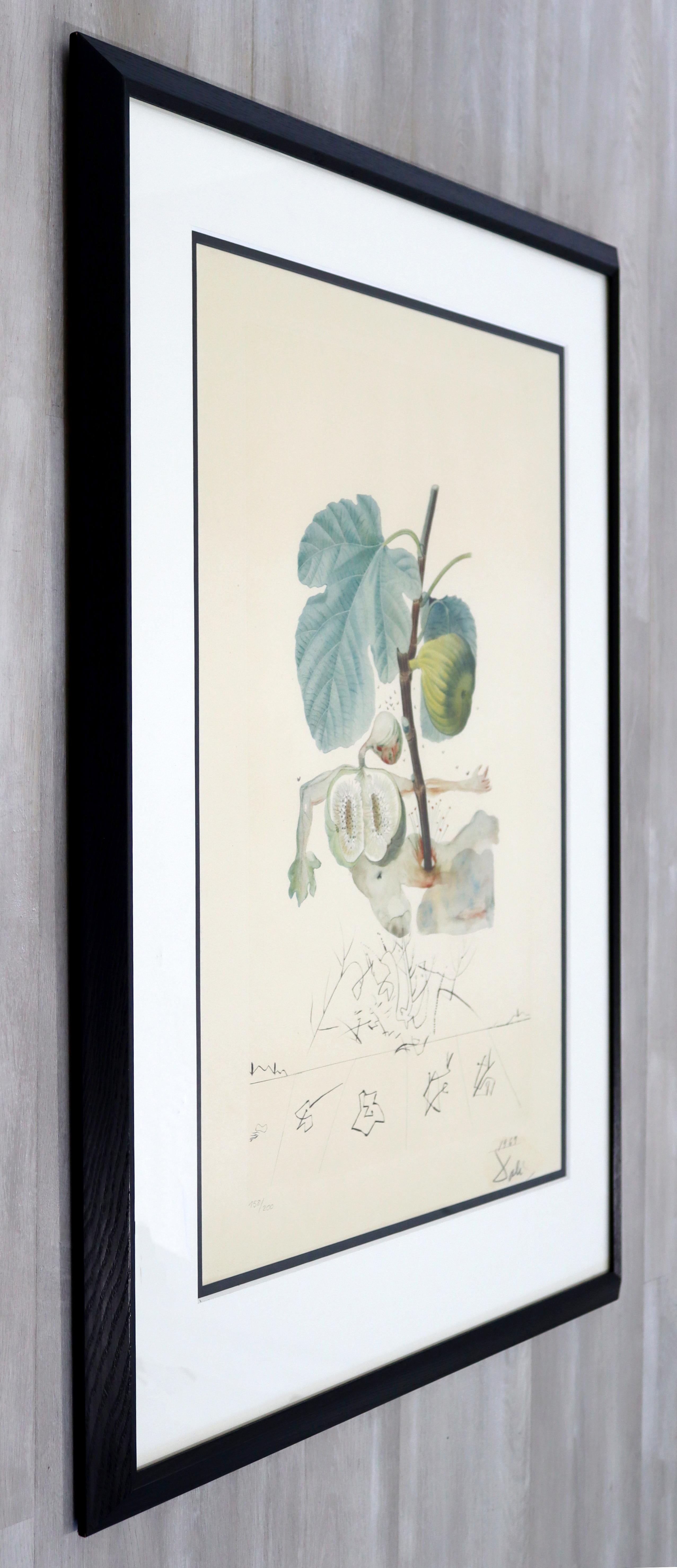 Mid-Century Modern Framed Salvador Dali Signed Drypoint Etching 1960s Grenade In Good Condition In Keego Harbor, MI