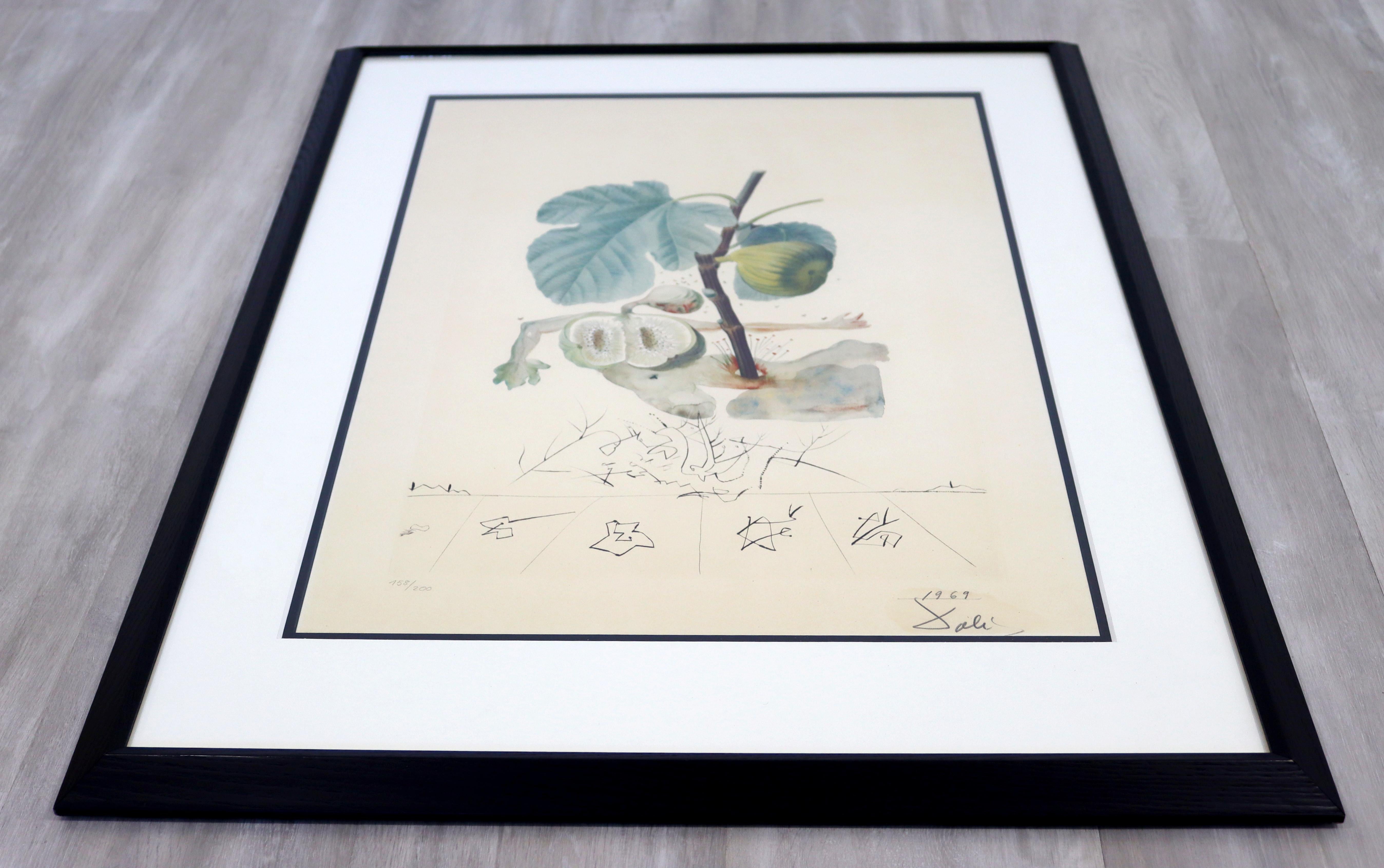 Mid-20th Century Mid-Century Modern Framed Salvador Dali Signed Drypoint Etching 1960s Grenade