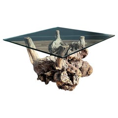 Mid-Century Modern Freeform Rustic Root Coffee Table