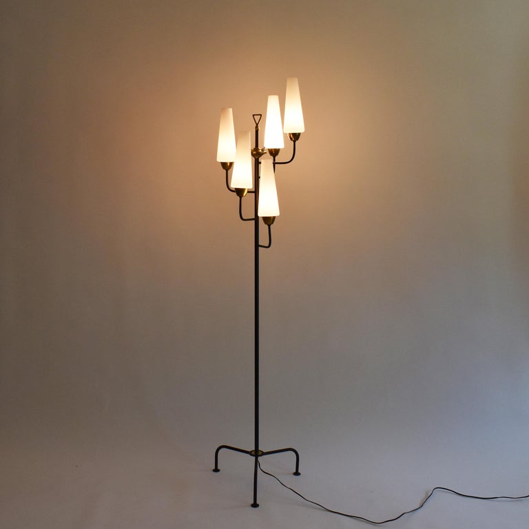 Mid Century Modern French 1950 Five, Contemporary Five 5 Arm Floor Lamp
