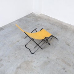 Fauteuil de jardin moderne du milieu du siècle dernier