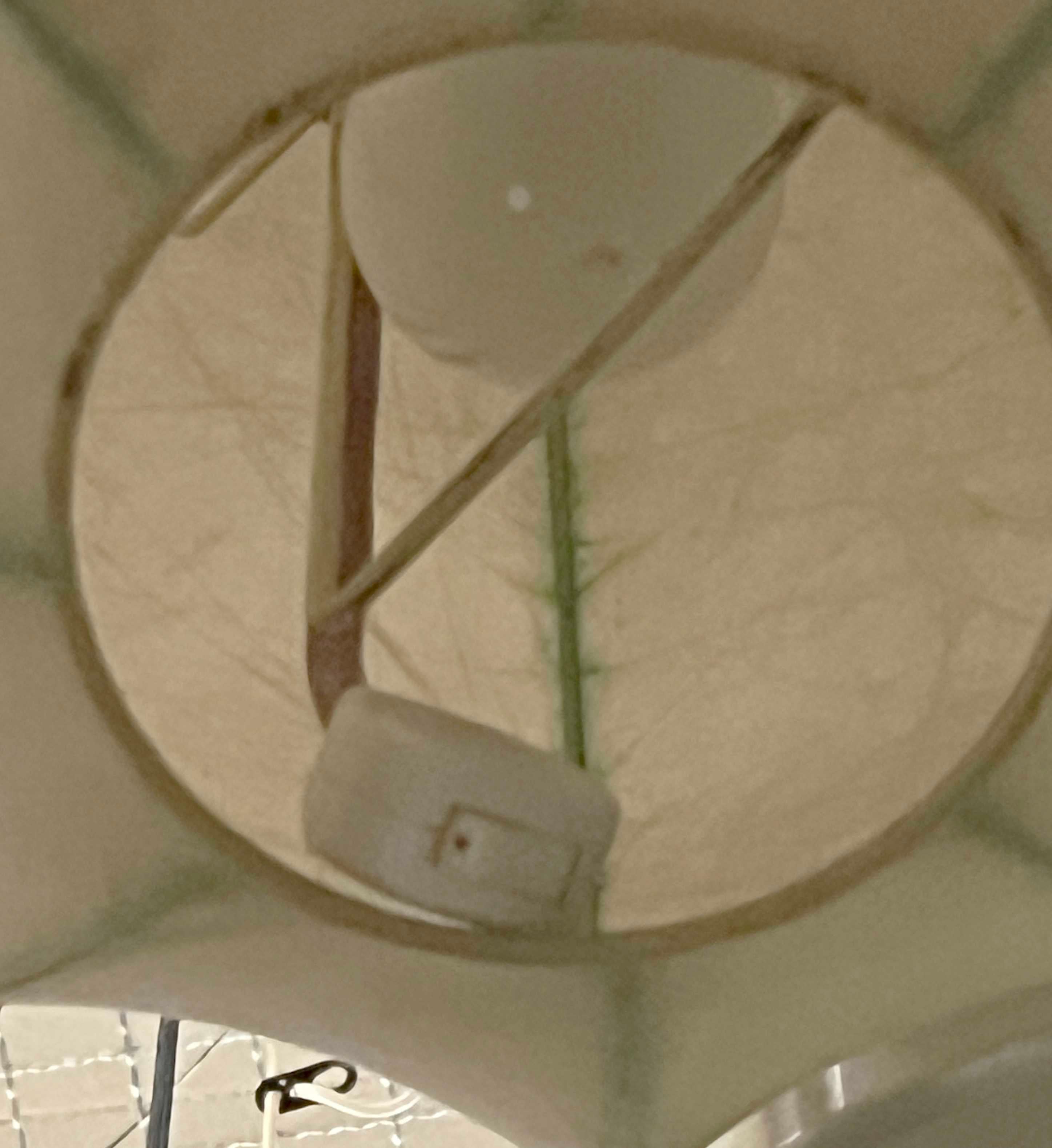 Lámpara colgante Cocoon alemana de mediados de siglo, de Friedel Wauer para Goldkant en venta 12