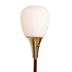 Mid-Century Modern Globe Floor Lamp