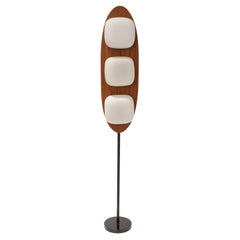 Mid-Century Modern Goffredo Reggiani Floor Lamp, Italia, 1960