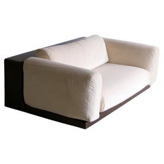 Mid Century Modern Gradual Sofa with Brown Base by Cini Boeri for Knoll