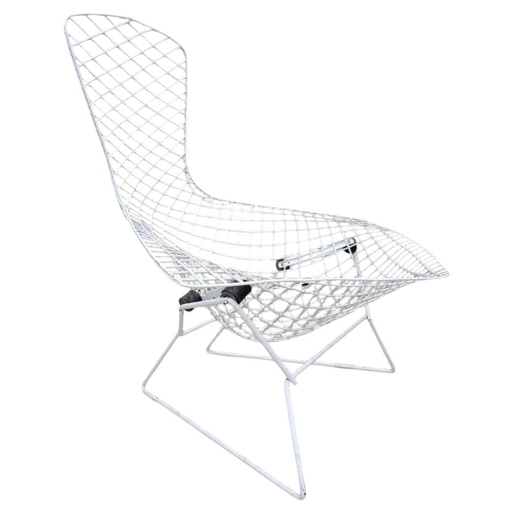 Mid Century Modern Harry Bertoia For Knoll Bird Lounge Chair In White