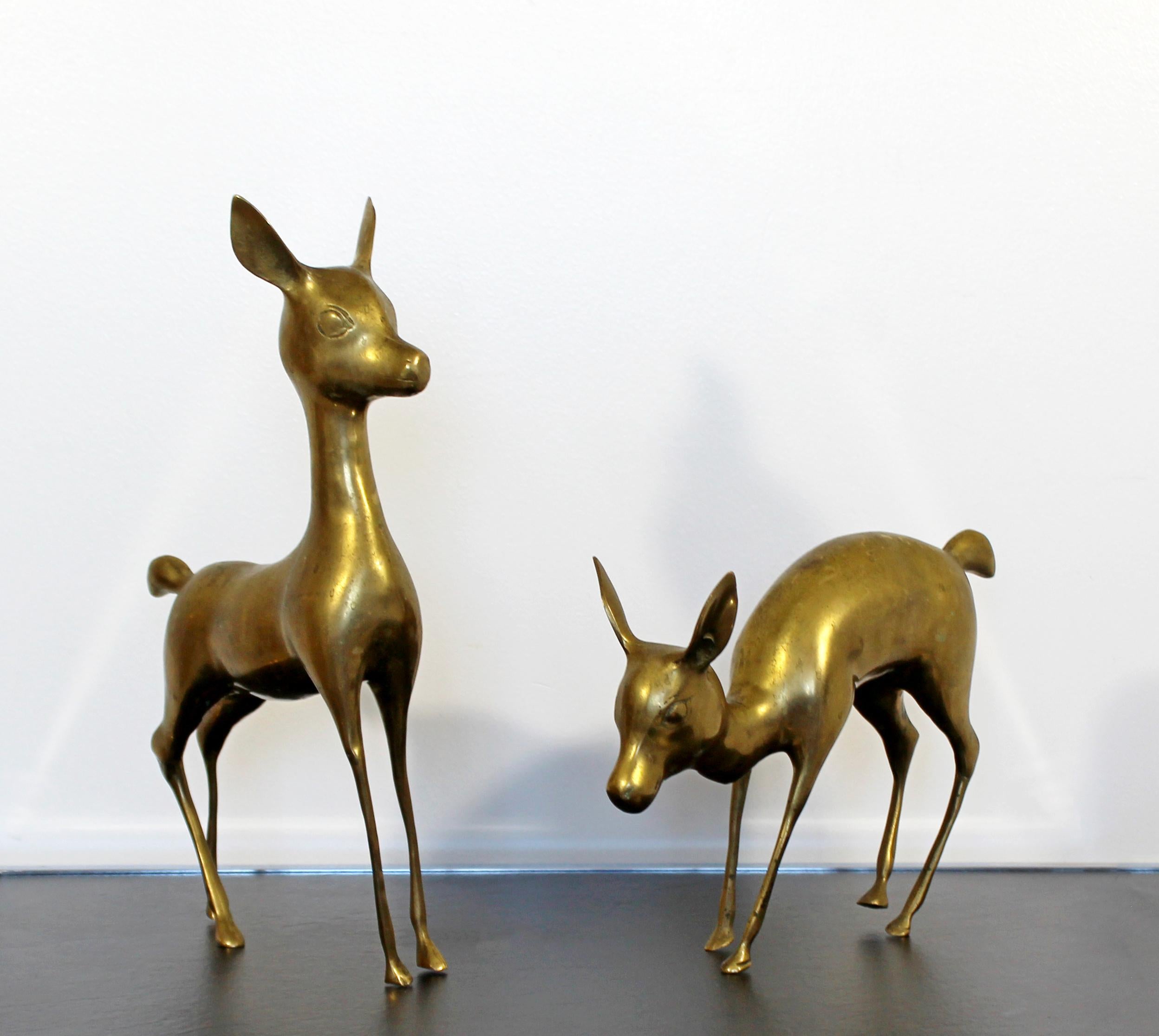 pair bambi