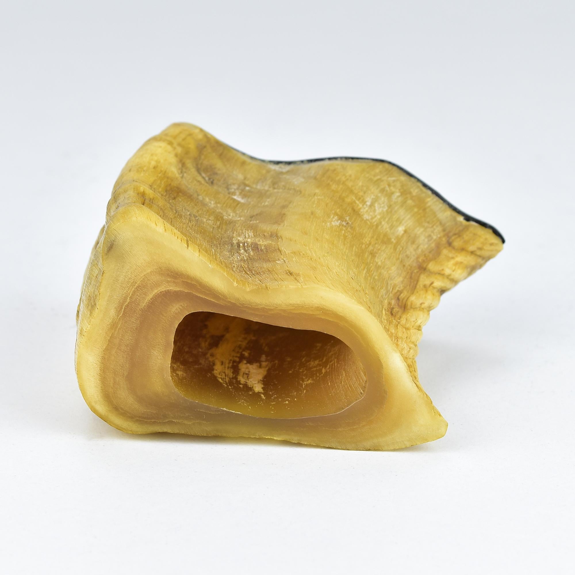 Mid Century Modern Horn Pen Stand von Carl Auböck Österreich im Angebot 1