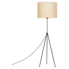 Retro Mid-Century Modern Iron and Brass Tripod Floor Lamp, Europe 1950s