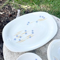 Mid Century Modern Iroquois Parasols Dish Set by Ben Seibel - 11 Pieces