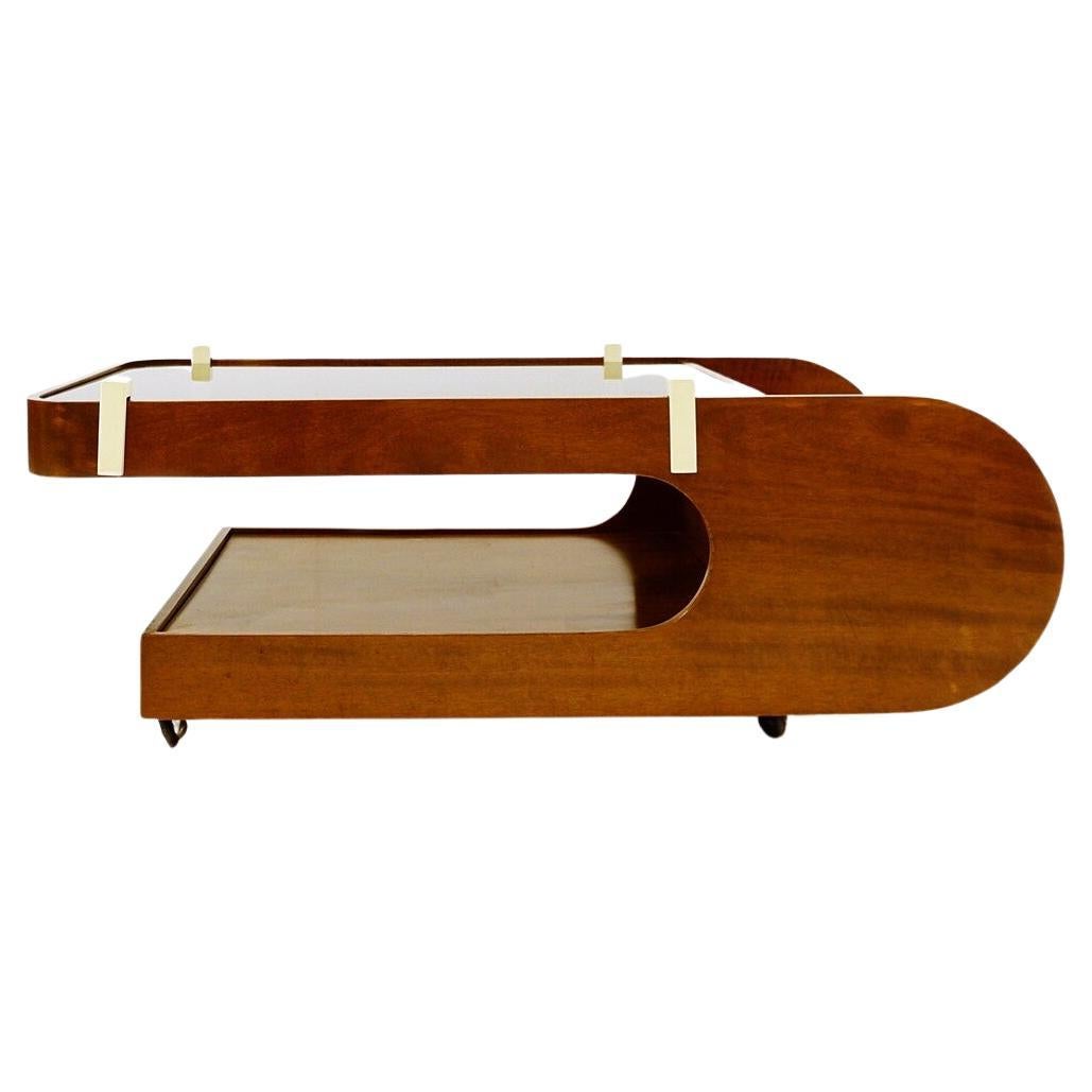 Mid-Century Modern Italian coffee table with smoked glass top, 1950s