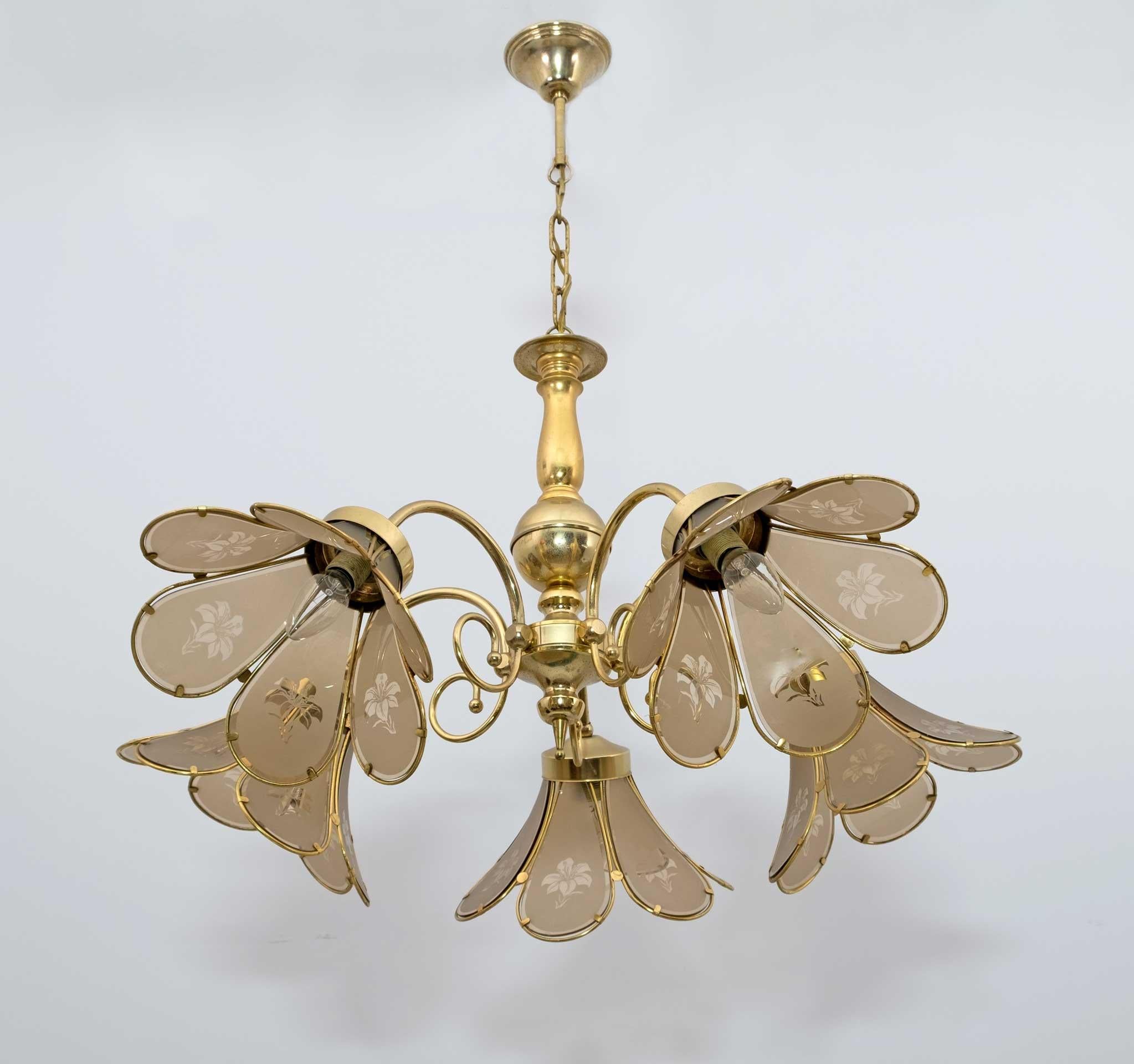 Mid-20th Century Mid-Century Modern Italian Glass and Brass Chandelier, 1960s For Sale