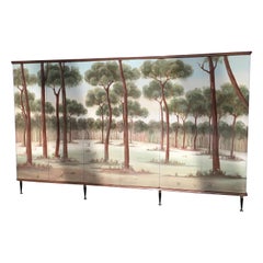 Mid-Century Modern Italian Hand Painted Gloss Covered Wardrobe, 1960s