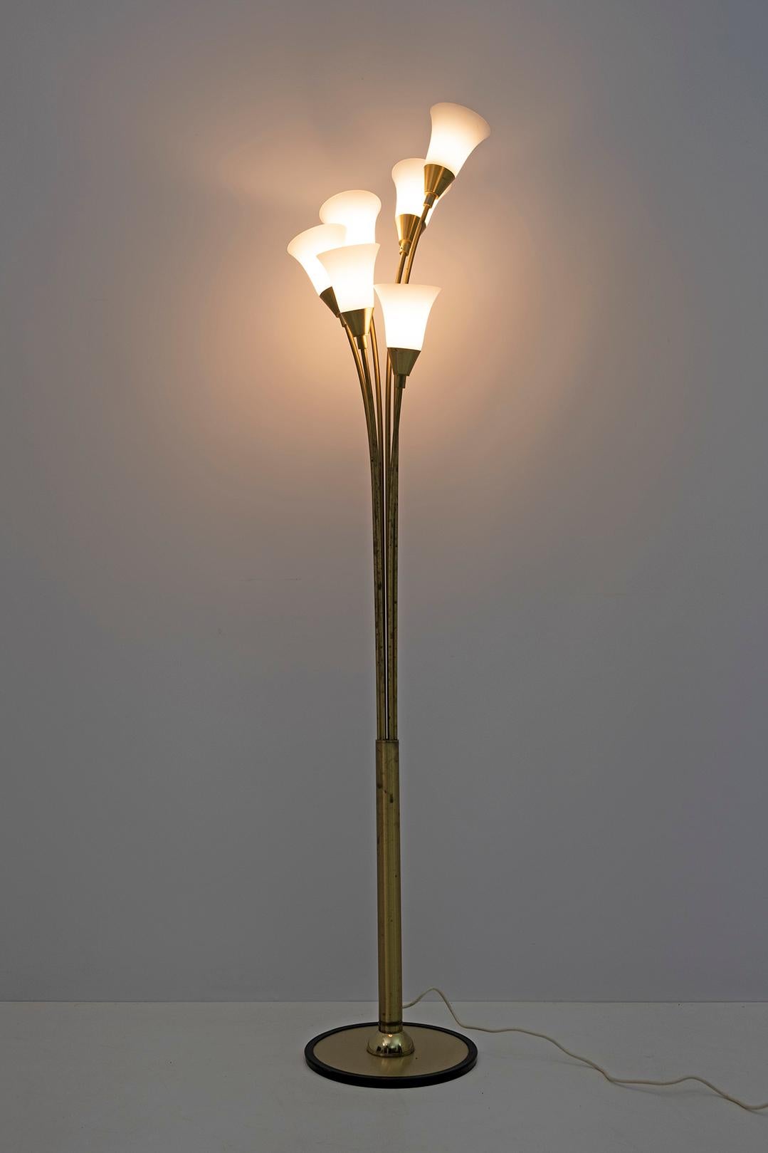 Mid-Century Modern Italian Opaline Glass and Gilt Brass Tulip Floor Lamp, 60s For Sale 3