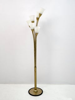 Mid-Century Modern Italian Opaline Glass and Gilt Brass Tulip Floor Lamp, 60s