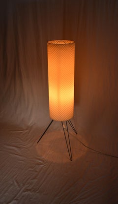 Mid-Century Modern Italian, Plastic Floor Lamp, 60s