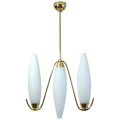 Mid-Century Modern Italian Satinated Glass and Brass Pendant Chandelier, 1950s
