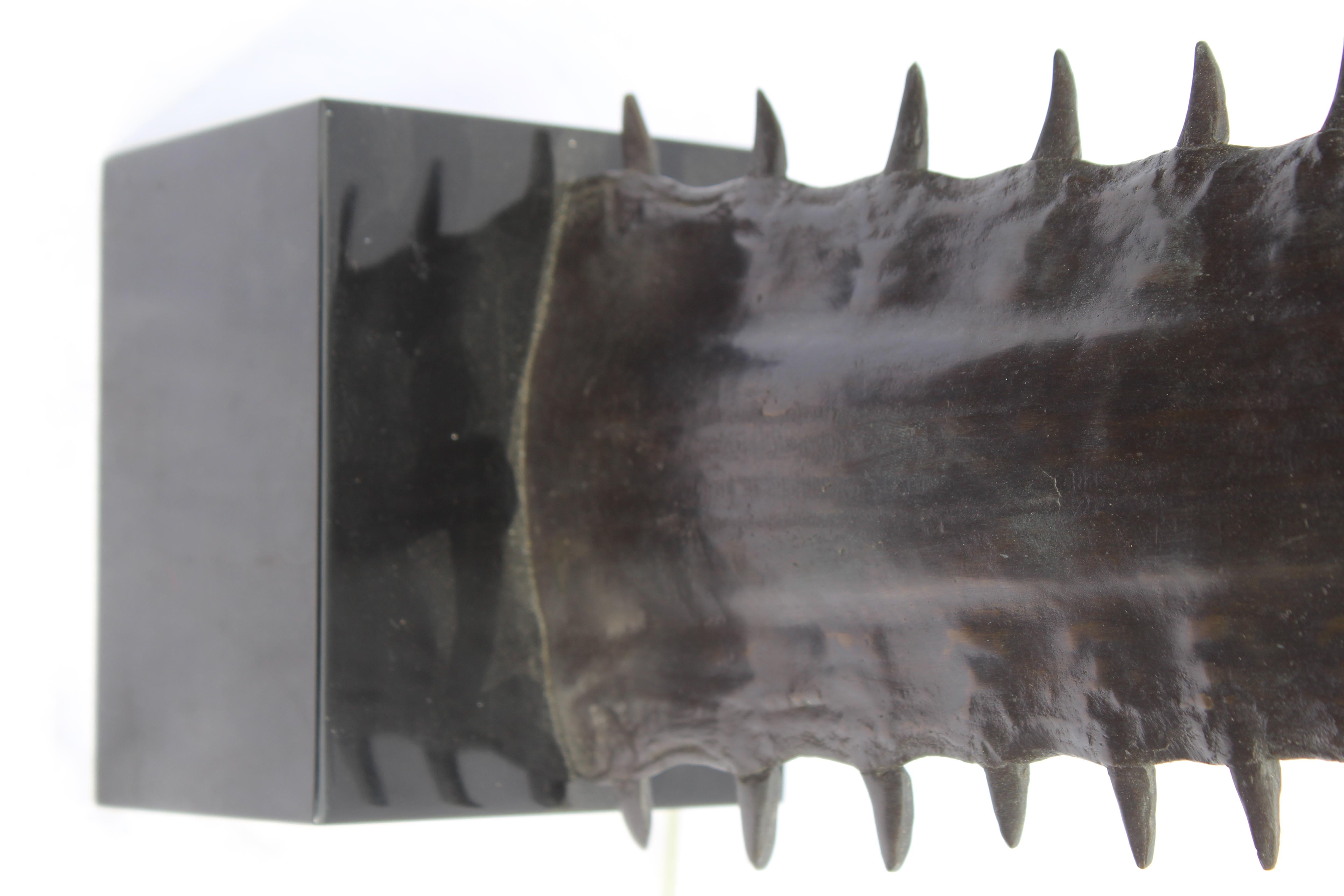 Lampe mi-siècle moderne  ( Bronze )  Requin à dents de scie  projet de loi en vente 2