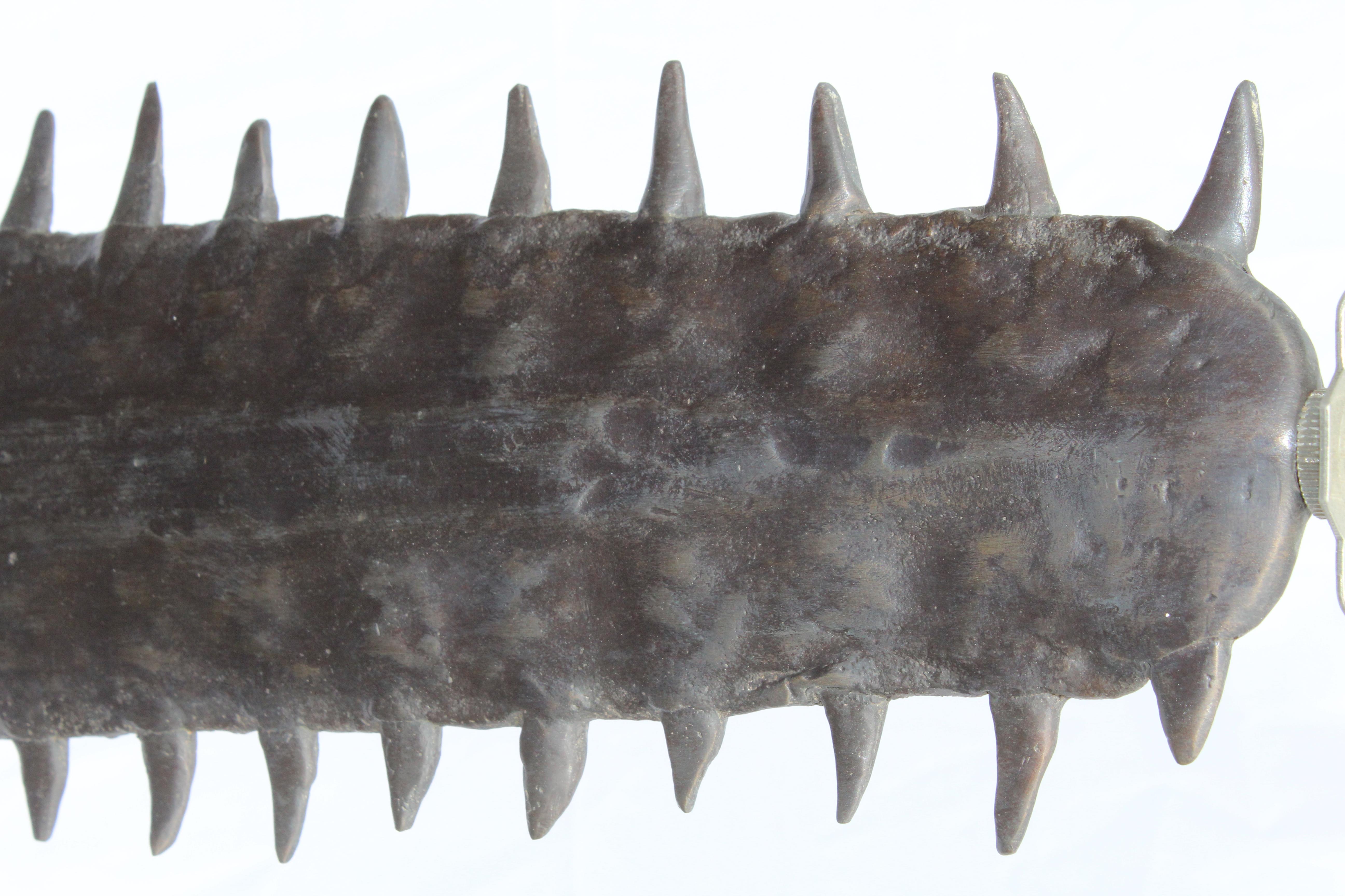 Moulage Lampe mi-siècle moderne  ( Bronze )  Requin à dents de scie  projet de loi en vente