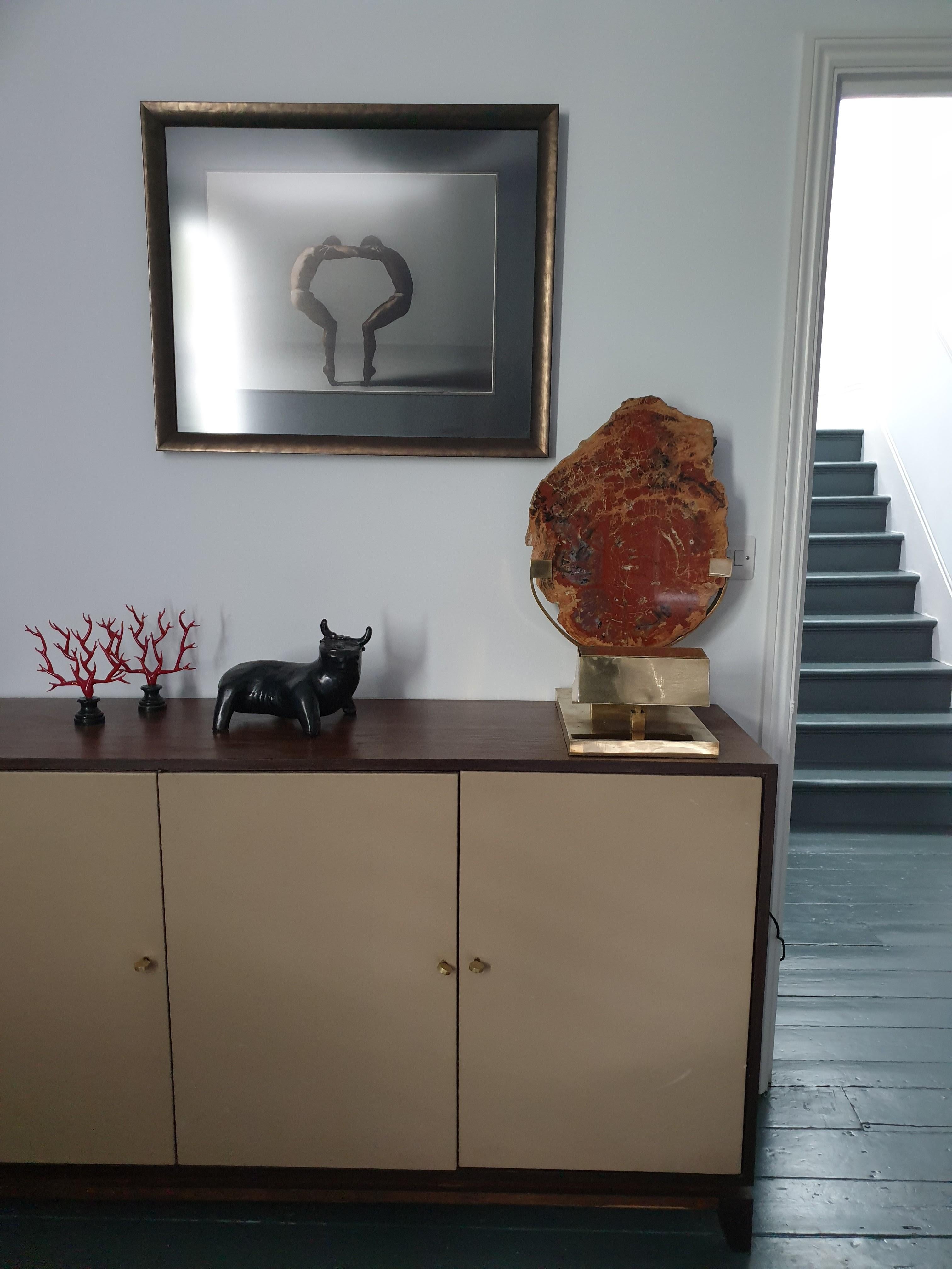 Belgian Mid-Century Modern Lamp in Petrifies Wood by Ado Chale For Sale