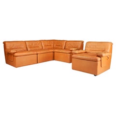 Mid-Century Modern Leather Patchwork Lounge Sofa/Living Room Set/5 1960s