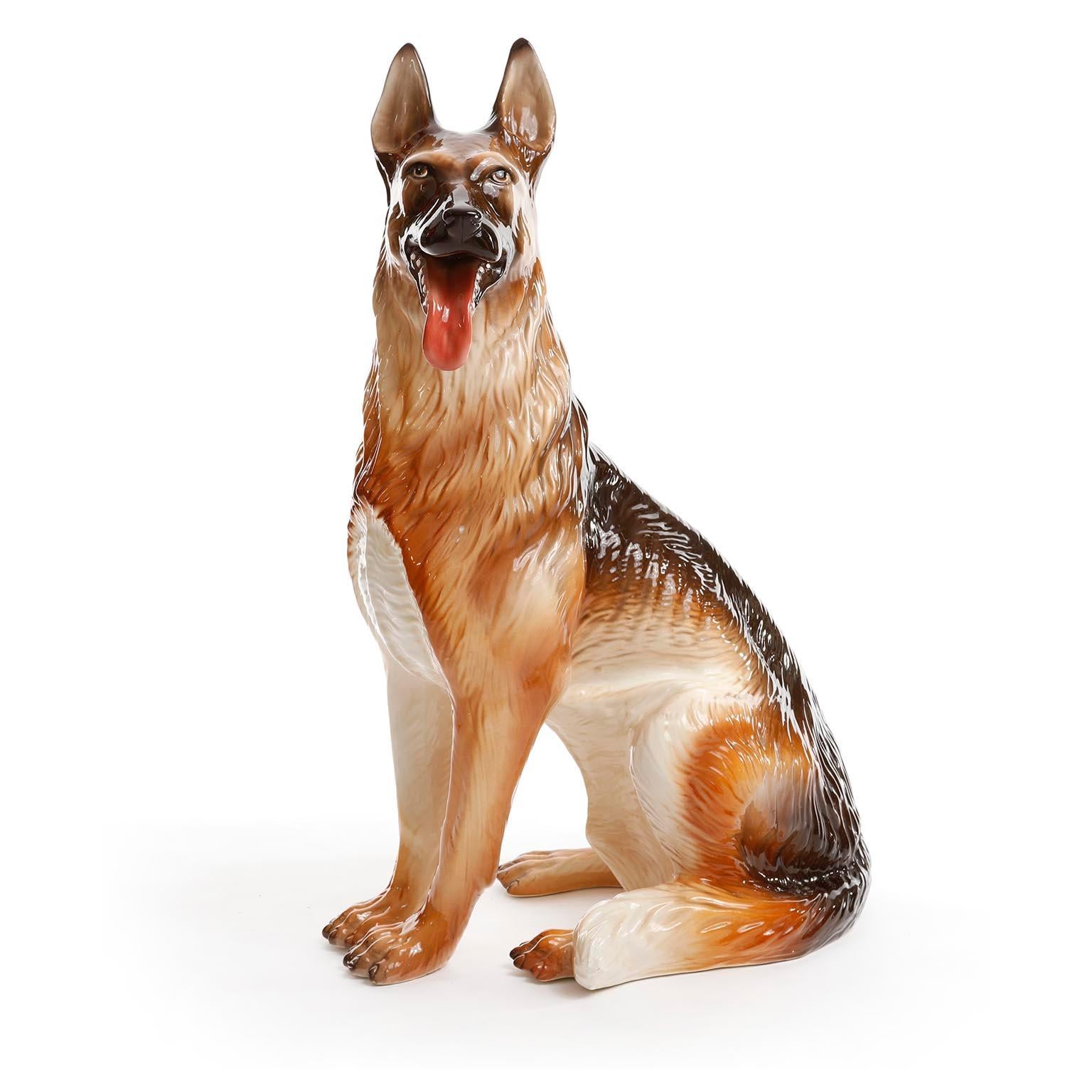 A painted and glazed ceramic life size German shepherd dog (german: Schäferhund) sculpture manufactured in Italy, circa 1960 (late 1950s or early 1960s).
A gorgeous piece with great details.
The white areas on the photos are reflections of the