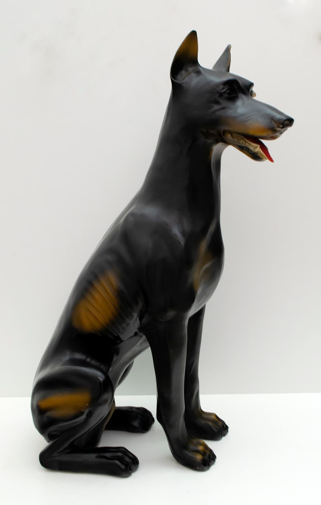 canis panther for sale
