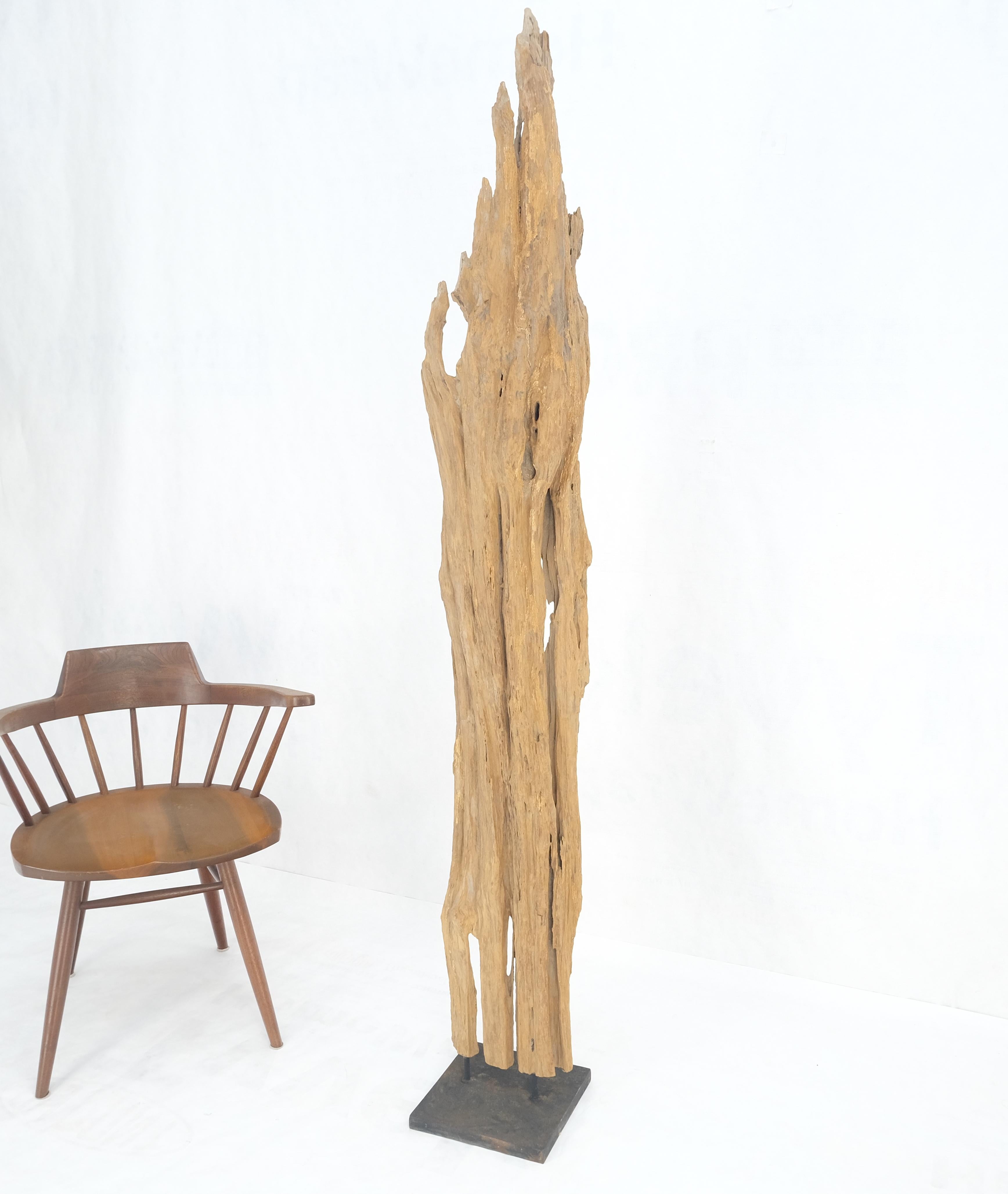 Varnished Mid Century Modern Light Wood 73